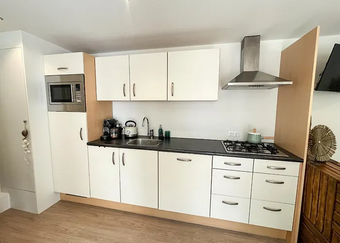 Lägenhet Tiny Zandvoort